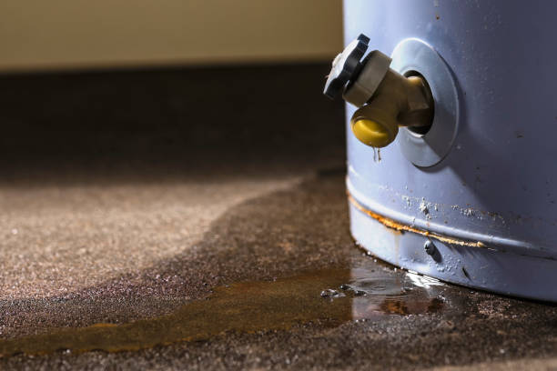 Best Mold removal after water damage  in Emory, VA