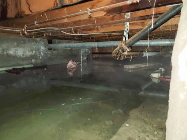 Best Commercial water damage restoration  in Emory, VA