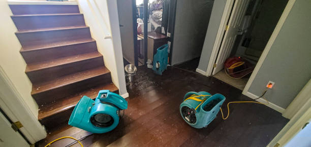 Best Emergency water damage restoration  in Emory, VA