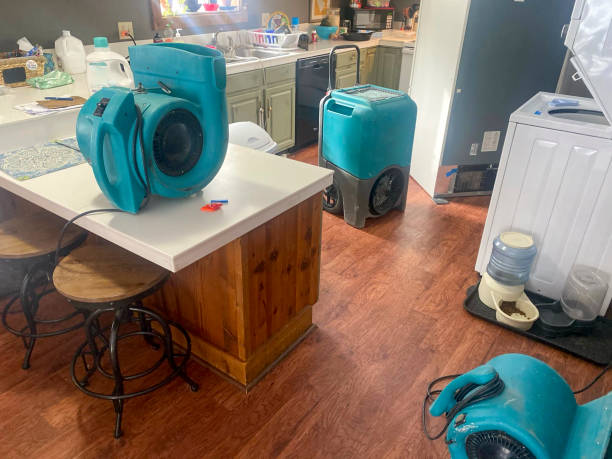 Best 24-hour water damage restoration  in Emory, VA