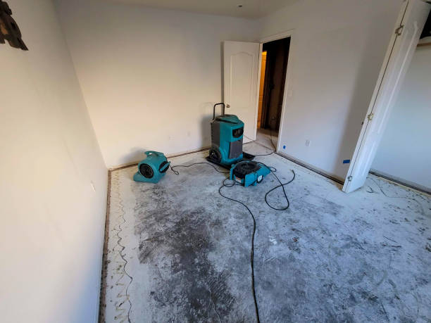 Best Flooded house restoration  in Emory, VA