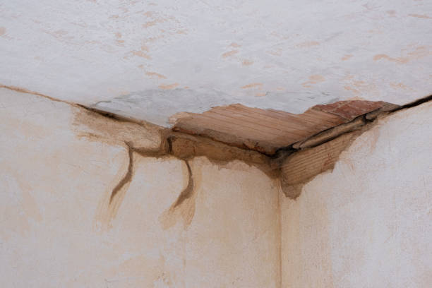 Best Carpet water damage restoration  in Emory, VA