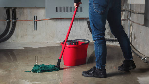 Best Basement water damage restoration  in Emory, VA