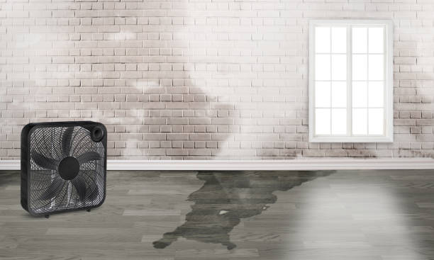 Best Residential water damage restoration  in Emory, VA