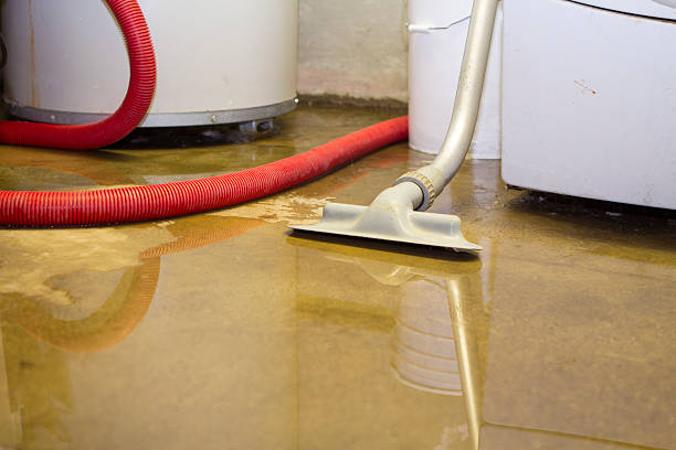 Best Ceiling water damage repair  in Emory, VA
