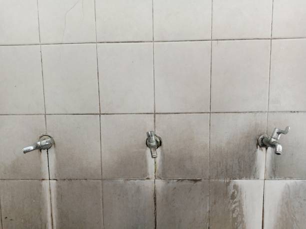 Best Water damage restoration specialists  in Emory, VA