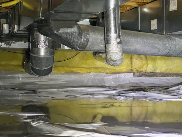 Best Basement water damage restoration  in Emory, VA