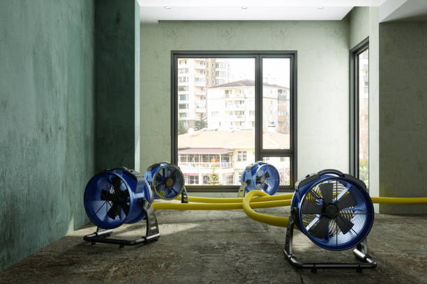 Best Basement water damage restoration  in Emory, VA